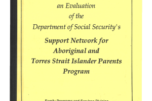 The 1995 Report of an Evaluation of the Department of Social Security's Support Network for Aboriginal and Torres Strait Islander Parents Program